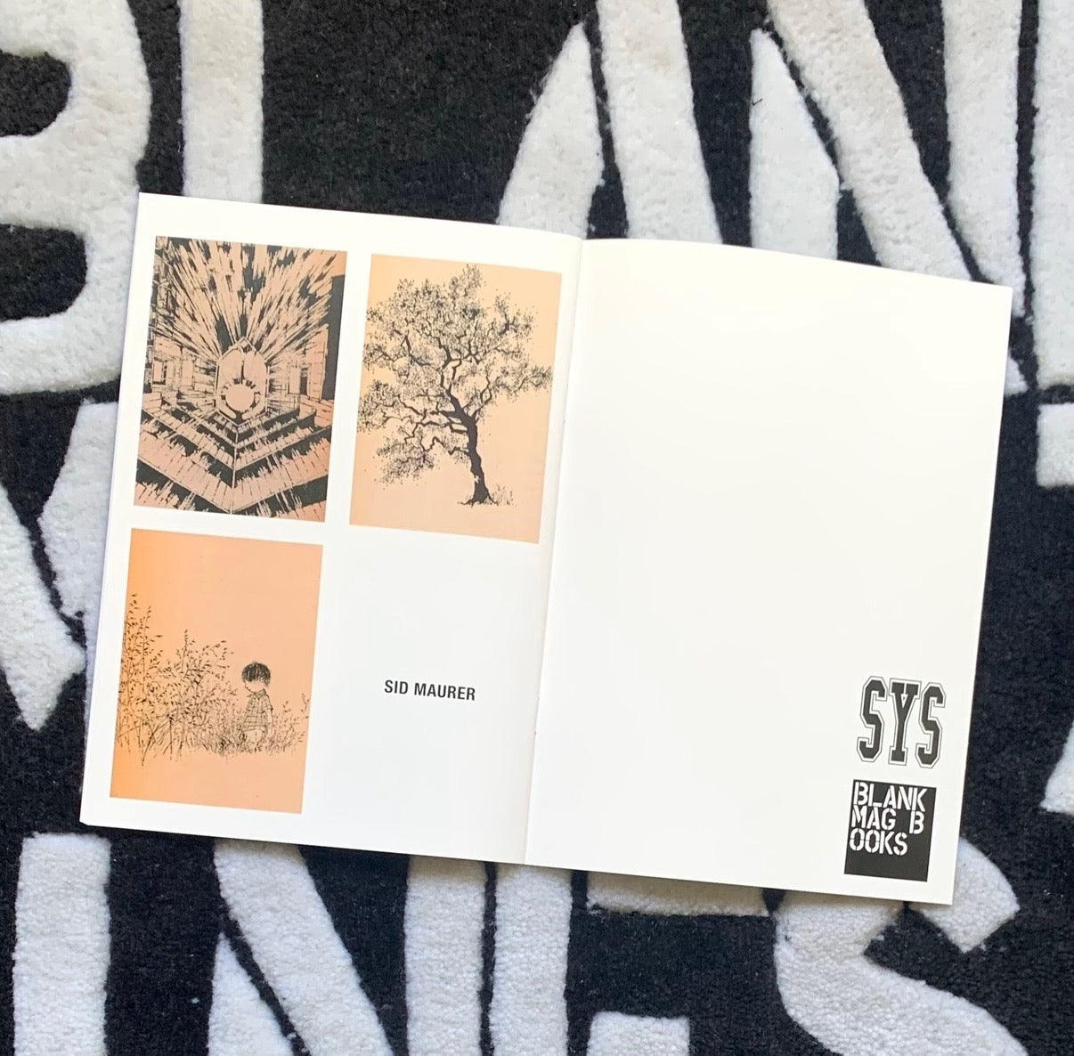 House Tree Person a group iteration ZINE - SYS